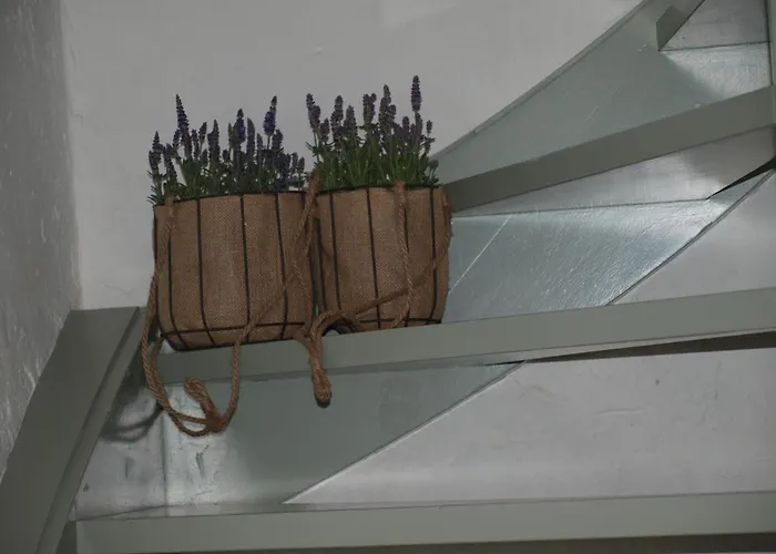 De Hoefstal 1765 Couette-café Asten