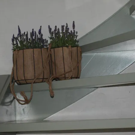 De Hoefstal 1765 Bed and Breakfast Άστεν