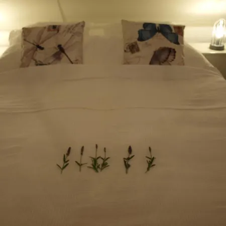 Bed and Breakfast De Hoefstal 1765