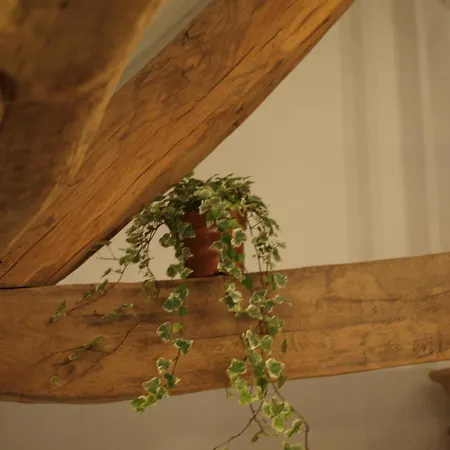 Bed and Breakfast De Hoefstal 1765 3*