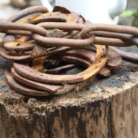 Bed and Breakfast De Hoefstal 1765 3*