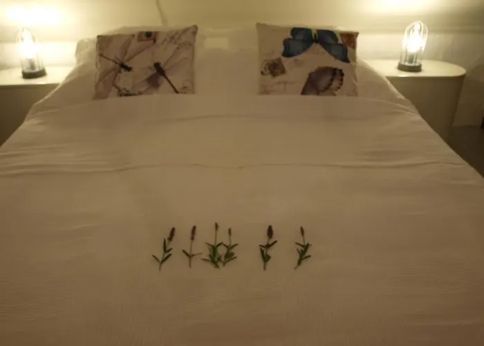 Bed and breakfast De Hoefstal 1765