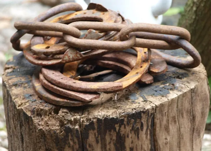 Bed and breakfast De Hoefstal 1765 3*